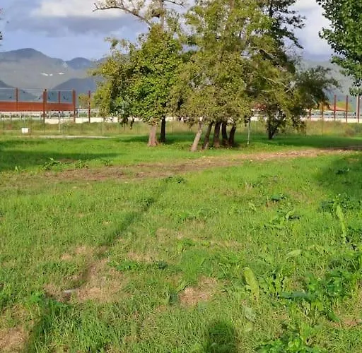 Rossana - Luni Apartamento